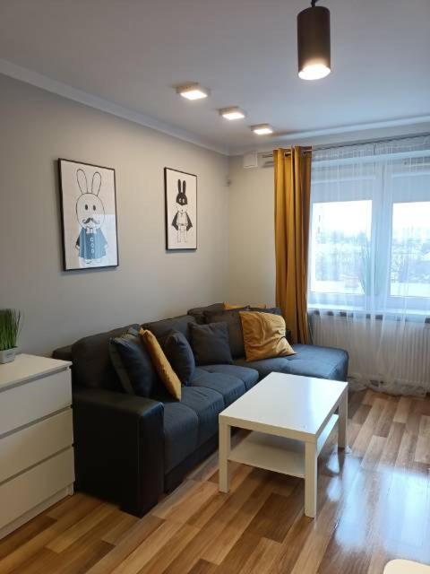 Family & Business Elegant Apartments Rynek Centrum Downtown - 2 Bedroom, Balcony, Parking Kielce Exterior foto
